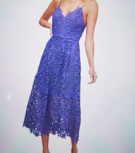 Eliza J Blue Lace Overlay Dress